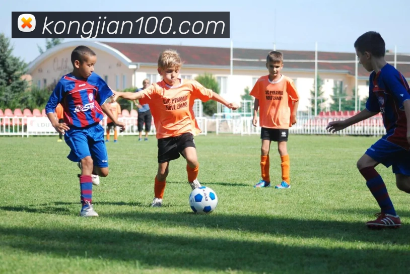 星空体育官方在线登录APP 高清赛事图